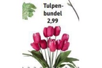 tulpenbundel