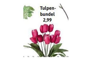 tulpenbundel