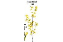 forsythiatak