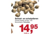 schaal en schelpdieren