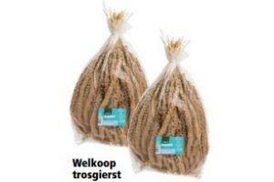 welkoop trosgierst