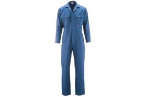 havep overall 2096