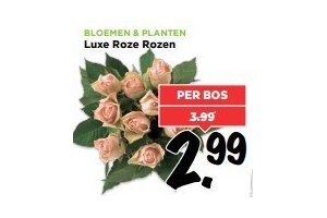 luxe roze rozen