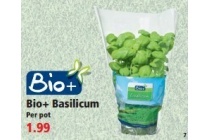 bio basilicum