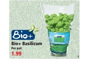bio basilicum