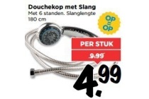 douchekop met slang