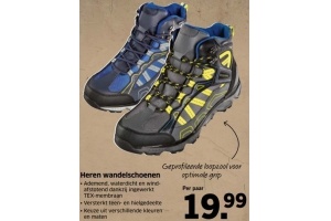 heren wandelschoenen