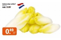 hollandse witlof