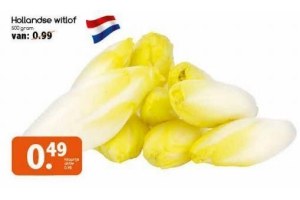 hollandse witlof