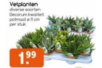 vetplanten