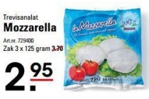 trevisanalat mozzarella