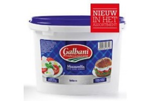 mozzarella galbani