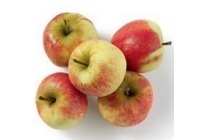 appel elstar doos 3 kilo en euro 4 95