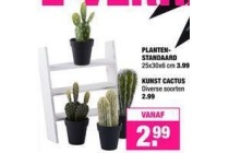 plantenstandaard en kunst cactus