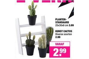 plantenstandaard en kunst cactus