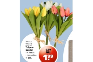 tulpenbundel