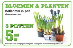 bloemenmix in pot