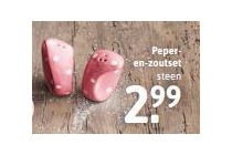 peper en zoutset