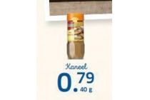 kaneel
