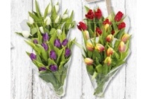 tulpen