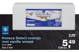 horeca select roomijs met vanille smaak