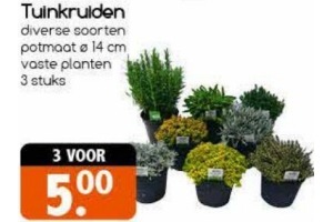 tuinkruiden