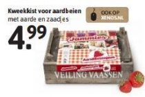 kweekkist voor aardbeien