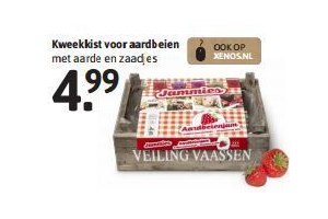 kweekkist voor aardbeien