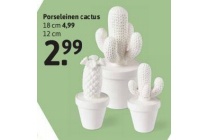 porseleinen cactus