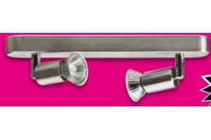 led plafondspot rvs 2 x 3 watt