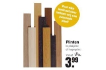 plinten