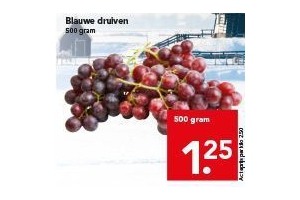 blauwe druiven