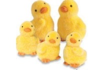 kuikentjes