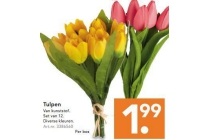 tulpen