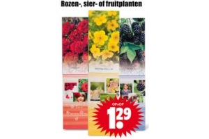 rozen sier of fruitplanten