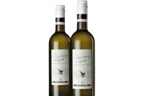 chardonnay veneto