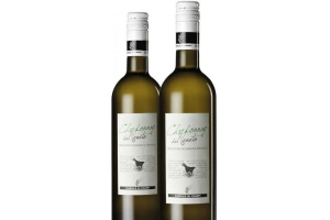 chardonnay veneto
