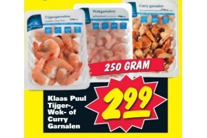 klaas puul tijger wok of curry incl garnalen