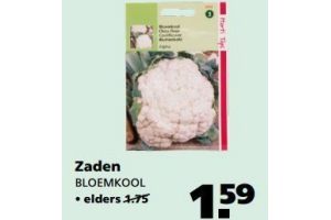 zaden bloemkool