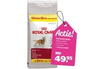 kattenbrokjes royal canin