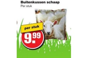 buitenkussen schaap