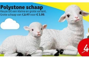 polystone schaap