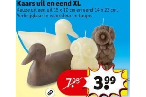kaars uil en eend xl