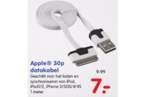 apple 30p datakabel