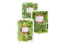 vers voordeel mesclun rucola of veldsla