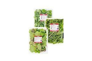 vers voordeel mesclun rucola of veldsla