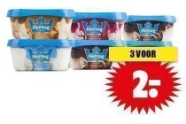 hertog ijs mini