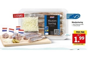 maatjesharing