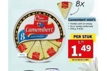 camembert mini s