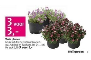 vaste planten